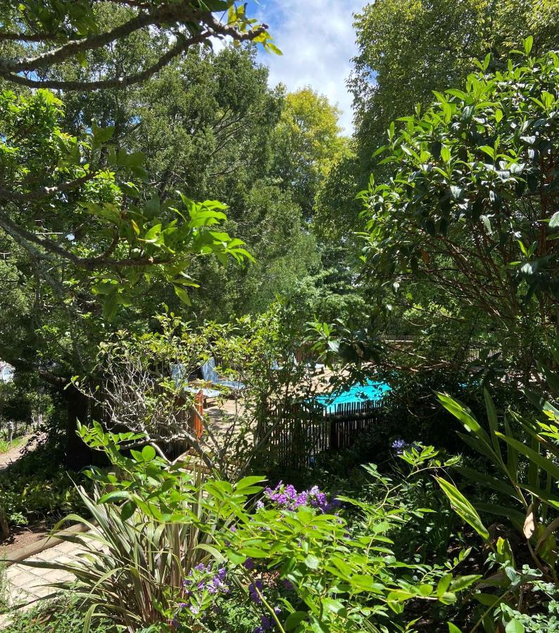 Badger'S Cottage Knysna Bagian luar foto