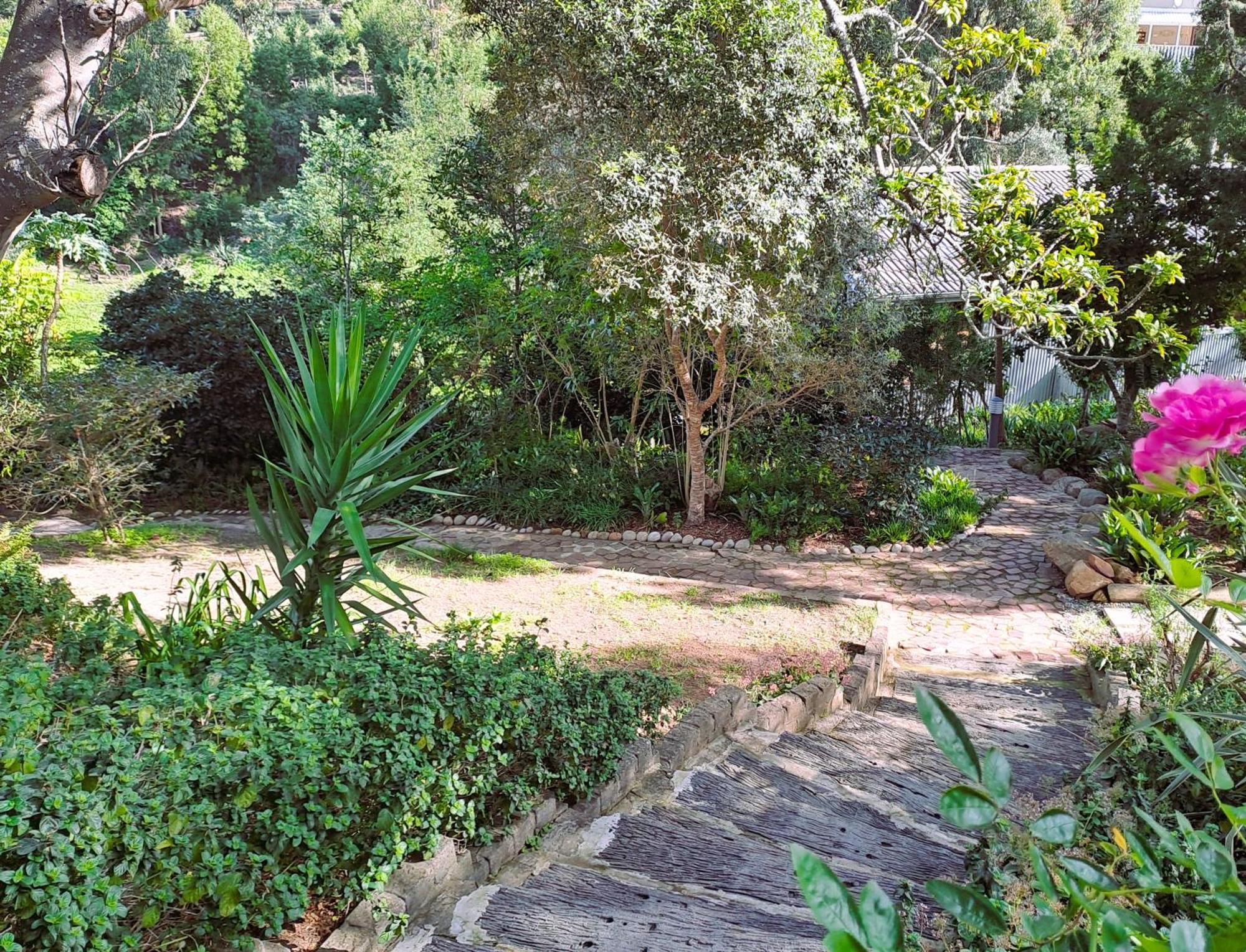 Badger'S Cottage Knysna Bagian luar foto